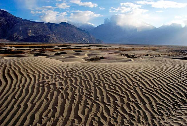 Sand Dunes Nubra Valley Photo Sand Dunes Nubra Valley